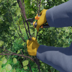 V5_249_CALFEVRIER003