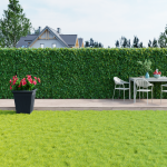 SEO_282_AMENAJARDIN001