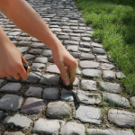 SEO_305_ENTRETALLEE002