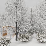 V5_259_CALEDECEMBRE001