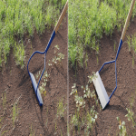 V5_224_OUTIDESHERB014