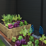 SEO_418_PROTEGEPLANTES004