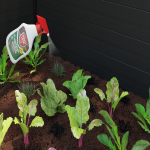 SEO_418_PROTEGEPLANTES005