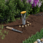 SEO_416_COMMENCEJARDIN002