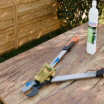 V5_312_COUPEBRANCHE005